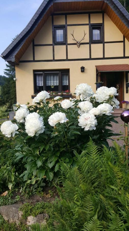 Birkenhain Stolberg (Harz) Exterior foto