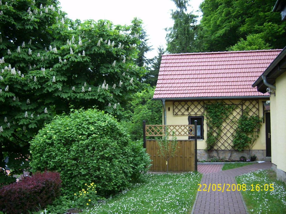 Birkenhain Stolberg (Harz) Exterior foto